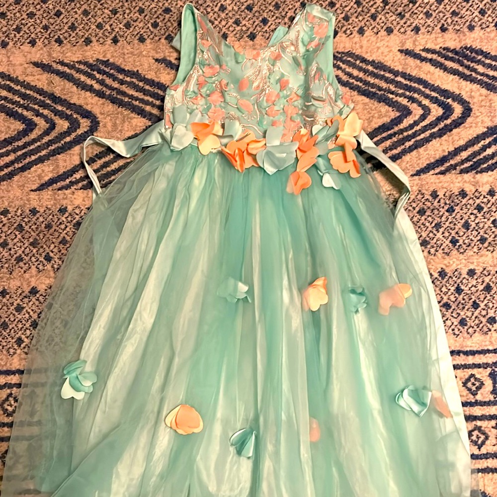 Beautiful dress purchased on Sara dresses, worn once.